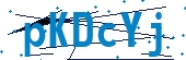 recaptcha