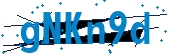 recaptcha