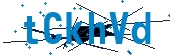 recaptcha