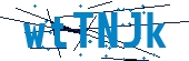 recaptcha